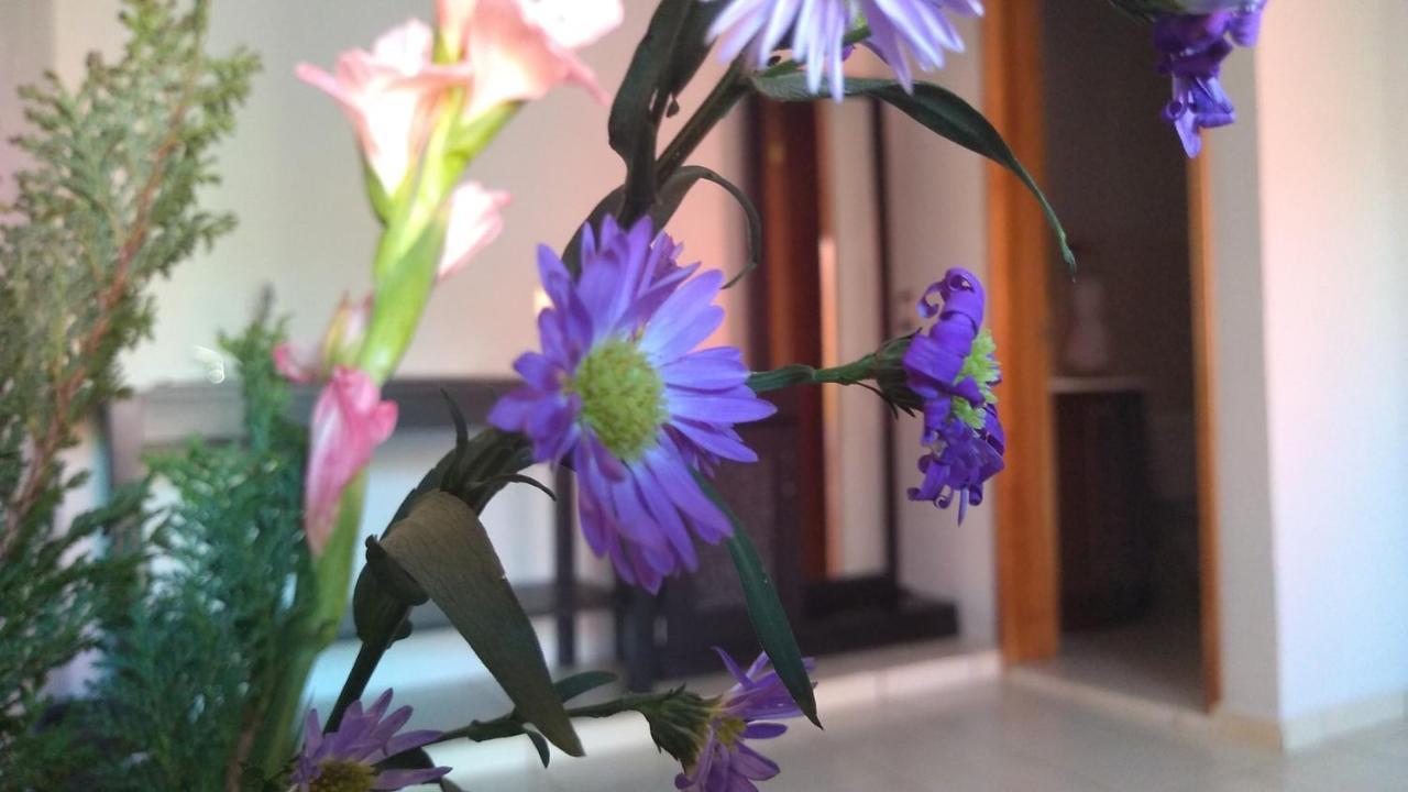 Hotel Kinich Ahau Βαγιαδολίδ Εξωτερικό φωτογραφία